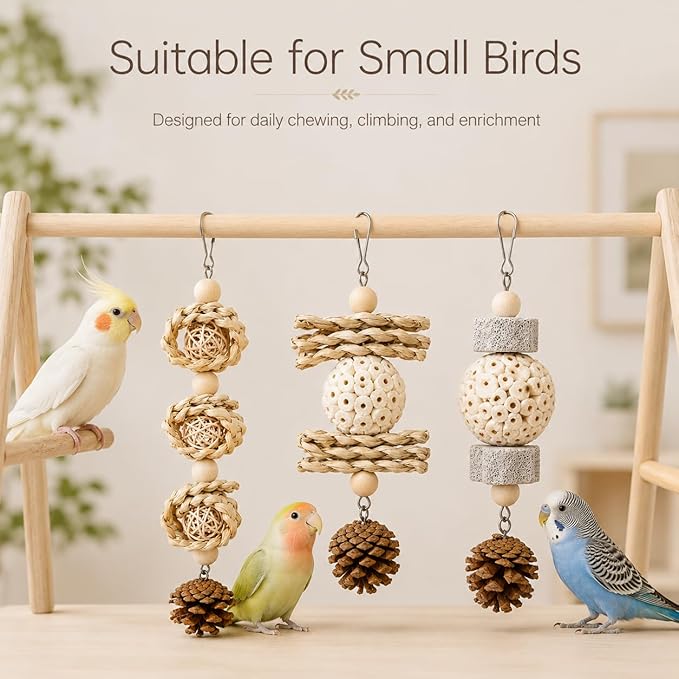 3 Pack Bird Toys for Small Birds, Texture-Rich Shredding & Chewing Toys with Sola Ball, Rattan Balls, Pumice Stone and Pinecone, Hanging Cage Toys for Budgies, Cockatiels, Lovebirds and Small Conures