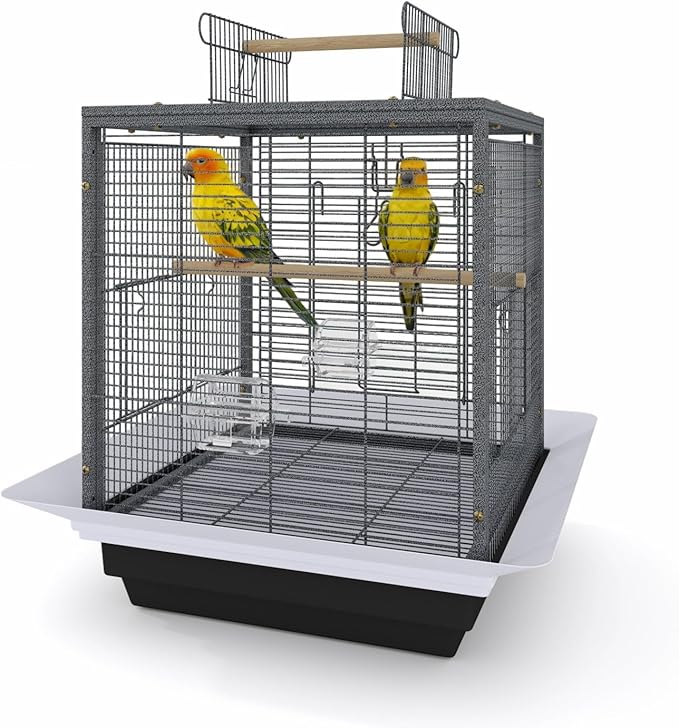 24 Inch Small Bird Cage with Stand, Medium Bird Carrier for Parakeets, Canaries, Lovebirds, Small Quaker, Cockatiels, Budgie, Green Cheek,Conure