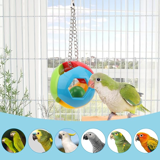 Hypeety Parrot Colorful Ball Toys with Bell Cage Hanging Chewing String for Parakeet Conure Cockatiel Small Medium Birds (C)