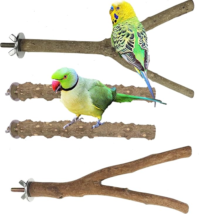 4 PCS Natural Parrot Perch Wooden Parrot Perch Stand Bird Stand Parakeet Climbing Standing Branches Toy for Small Lovebirds Budgies Cockatiels
