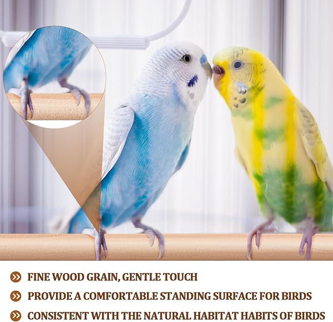 Sintuff 8 Pcs Bird Perches for Cage Accessories, Wooden Perch Rods Replacement with Double Head Slots, 0.6 Inch Diameter Natural Wood Stand for Parrot Macaw Cockatoo Parakeet (18 Inches)