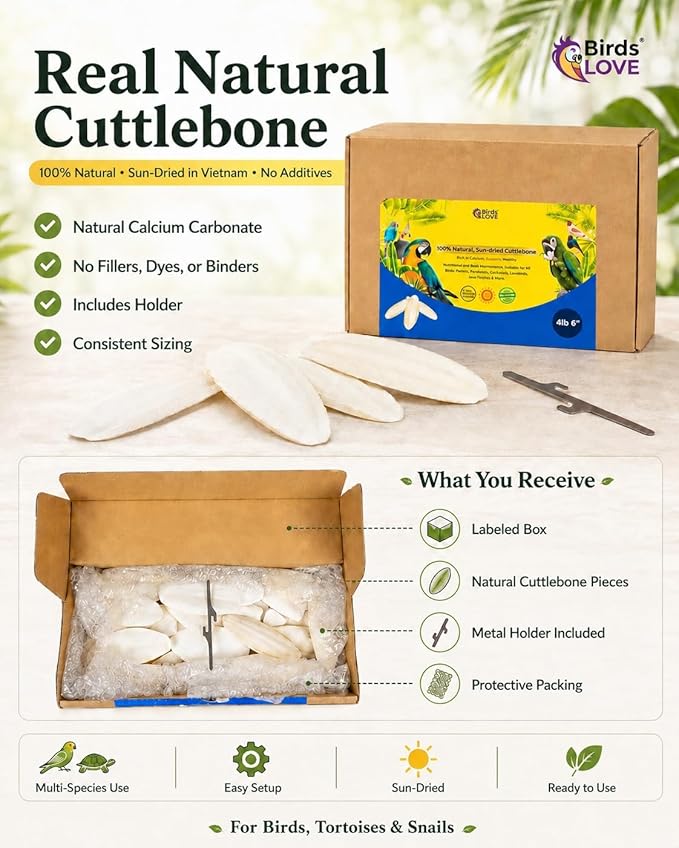 Birds LOVE 5.5-6″ Cuttlebones for Birds – 100% Natural Sun-Dried Calcium Carbonate Mineral Supplement – for Parakeets, Budgies, Cockatiels, Finches & Canaries – 4 lb with Holder – Made in Vietnam