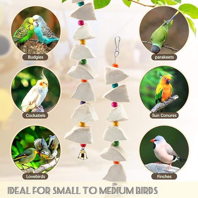 2 Pack Bird Cuttlebone Chew Toys, Natural Cuttlefish Bone for Birds Beak Grinding & Calcium Supplement, Hanging Cage Accessories for Small Medium Birds (2, Chunky Blocks)
