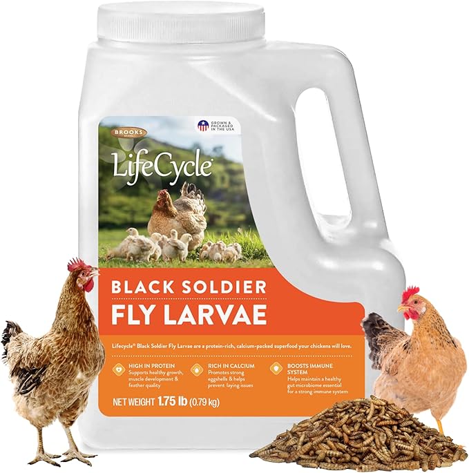 Brooks Brand Black Soldier Fly Larvae Chicken Treats, Mealworms Alternative, Grubs for Chickens, High Calcium for Laying Hens, Made in USA, 1.75 lbs