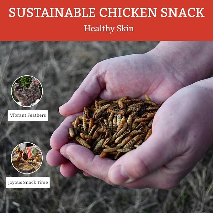 Good Deal Grubs Dried Black Soldier Fly Larvae for Chickens 5 lb, High Protein Chicken Treats with Calcium, Chicken Snacks and Supplements for Poultry and Birds