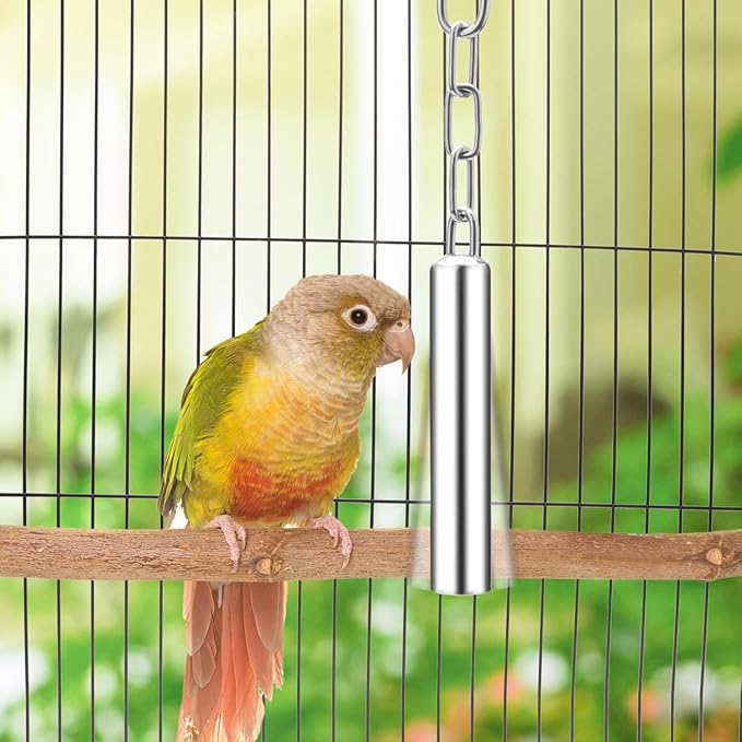 Wontee Stainless Steel Bell Toy Bird Cage Hanging Bite Toy for Parrot Parakeet Budgie Cockatiel Conure African Greys (2 PCS-L)