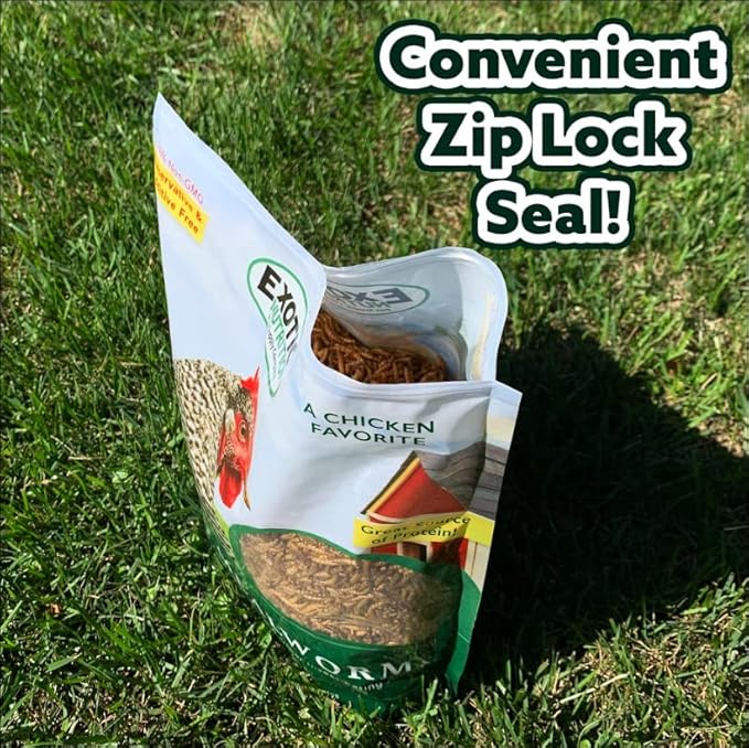Dried Mealworms - 100% Natural, Non-GMO, High Protein, Bulk Insect Treat for Chicken, Laying Hen, Chick, Wild Bird, Bluebird, Duck, Goose, Turkey, Chickadee, Titmice, Wren, Reptile, Fish (1 lb.)