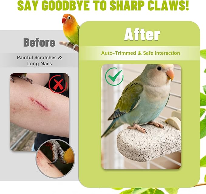 4 PCS Bird Perch Stands, Calcium Beak Grinding Stone and Foot Claw Trimmer, Lava Ledge Parrot Platform Chewing Toys for Parakeet Cockatiel Conure Lovebird Finch Budgies