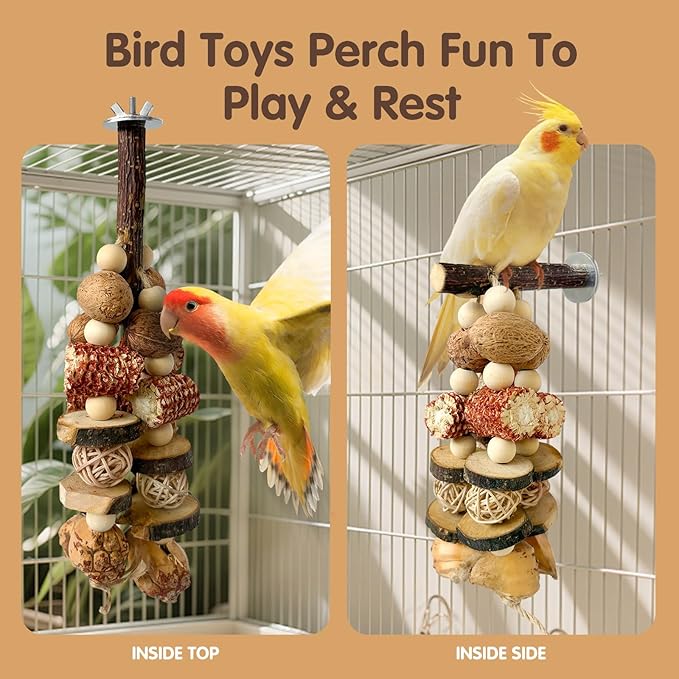 Bird Chew Toy - Natural Apple Wood Corn Cob Parrot Chew Toy, Multi-Functional Cage Hanging Foraging Toy for Budgies, Cockatiels, Conures, Lovebirds & Other Small Medium Birds