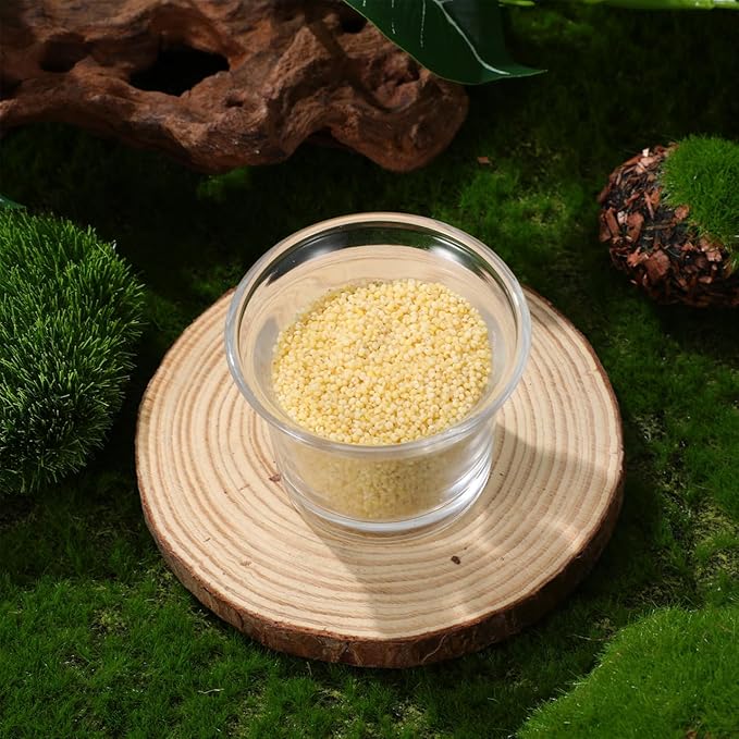 LIOOBO Bird Feeder Cup for Outside Replacement Parts for Outdoor Feeder Stylish Garden Dec