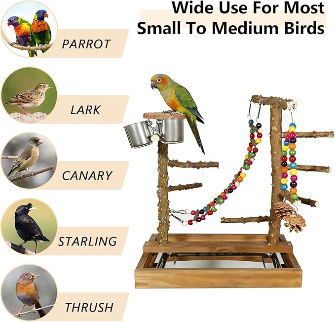 Wooden Bird Play Stand Parrots Playground Perch Stand with Bird Ladder Chewing Toys and 2 Stainless Steel Cups (Brown)