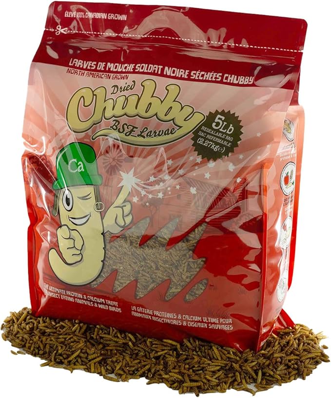 Chubby Dried Black Soldier Fly Larvae | 5 lbs | High Calcium Sustainable Protein Snack for Chickens, Laying Hens, Wild Birds & Reptiles