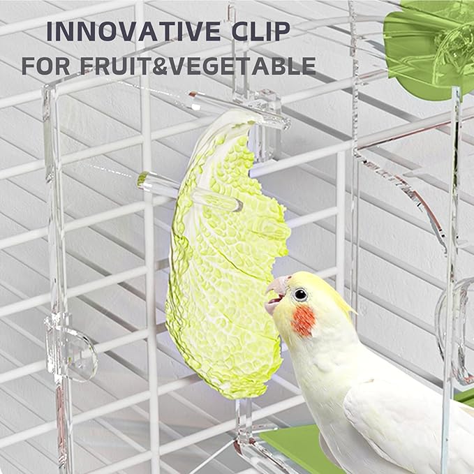 Automatic Bird Feeder, Bird Cage Feeder with Perch Multi-Functional Holder for Fruits Vegetables for Parakeet Canary Cockatiel Finch (Green)