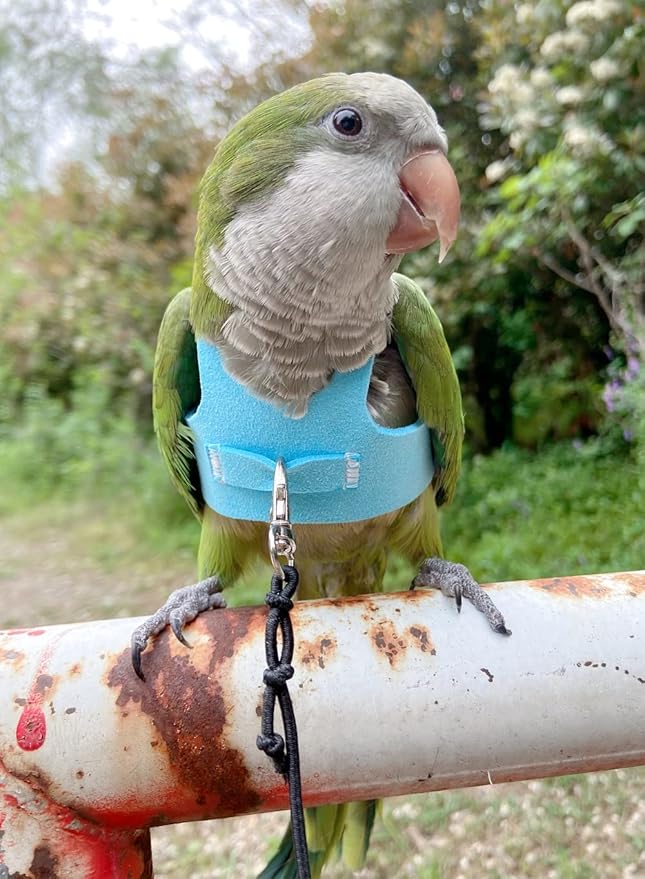 Bird Flight Harness Vest Parrot Flight Suit with Leash for Parakeets Cockatiels Conures Budgies, Bird Flying Clothes with Rope and Handle for Outdoor Activities Training (Medium,Blue)