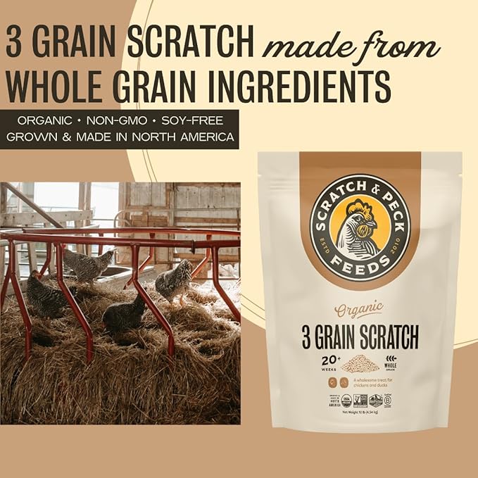 Scratch and Peck 3 Grain Scratch Chicken and Duck Supplemental Grain - 10 lbs Bag - Corn-Free and Soy-Free - 9.8% Protein, Certified Organic and Non-GMO Project Verified Chicken Food