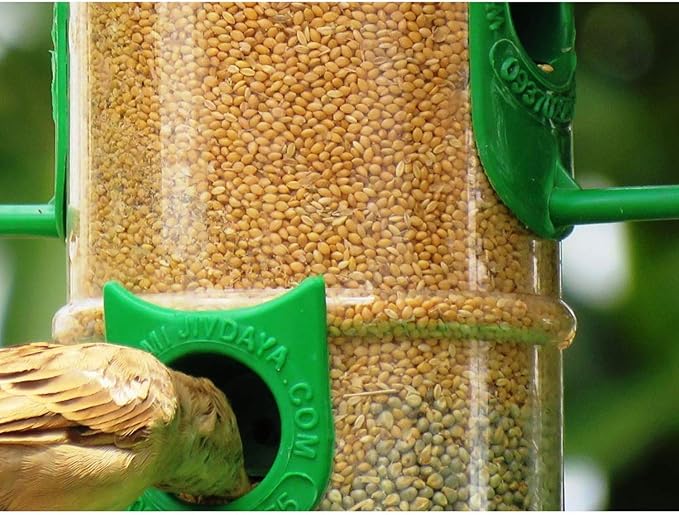 Amijivdaya Medium Bird Feeder Pack of 1