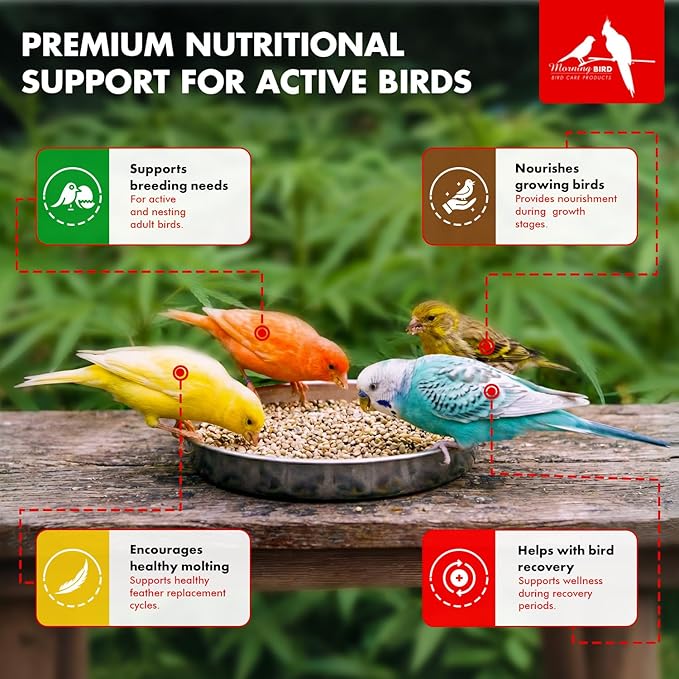 Morning Bird Hemp Seeds 4.5 lbs (3-Pack, 1.5 lbs Each) – High in Natural Protein, Healthy Fats, Omega 3 and 6 Fatty Acids, Delicious Natural Flavor, Supports Feather Growth & Overall Health
