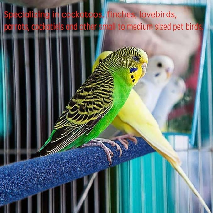 10 PCS Parrot Perch Stand Bird Perch Stand Toy Colorful Paw Grinding Stick Cage Wooden Parakeet Perch Accessories for Cockatiels （7.87in/0.59in）