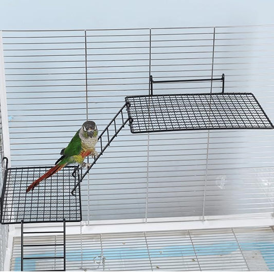 Anti-bite Metal Breathable Bird Cage Platforms with Ladders, Hanging Platforms for Bird Cage, Expand Space Inside The Cage, Suitable for Rats,Conures (2 X-Large Platforms & 2 Ladders)