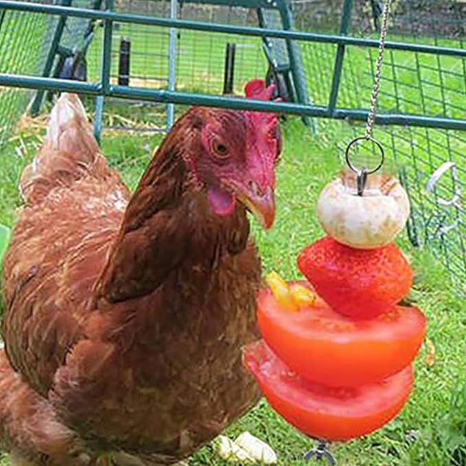 Stainless Steel Bird Hanging Feeder Chicken Hen Food Holder Skewer Foraging Toy Wild Bird Feeder