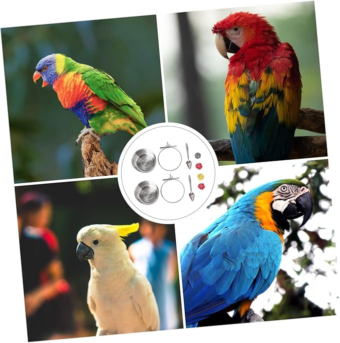 Mipcase 8Pcs Parrot Feeding Bowl and Scoop Set with Stainless Steel Bowls and Natural Willow Branch Bite Chinlon for Bird Cage Feeding and Foraging Activity