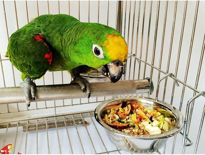 2 Pcs Stainless Steel Bird Parrot Feeding Cups Cage Hanging Bowl, Bird Coop Cups Seed Water Food Dish Feeder Bowl