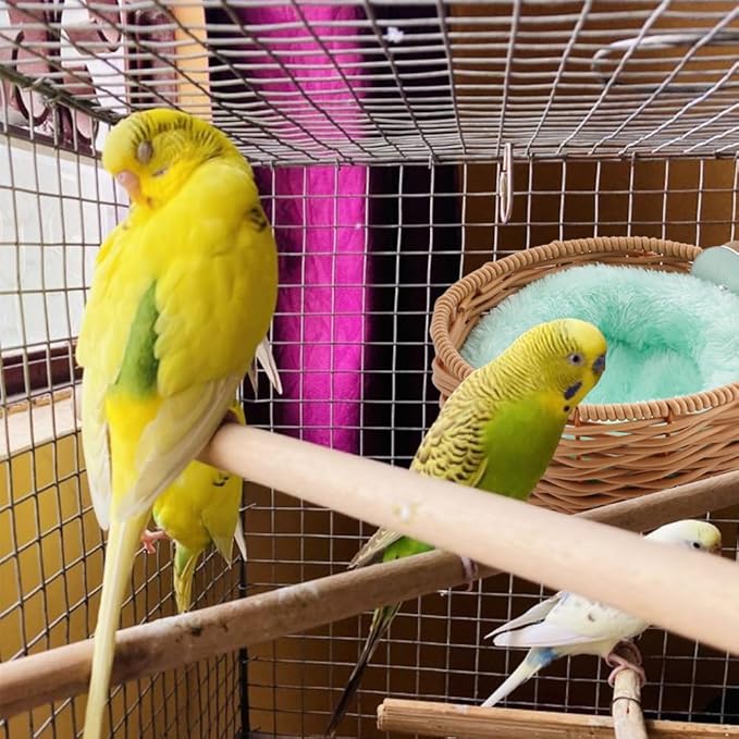 VTurboWay 1 Pack Bird Rattan Nest with 1 Pcs Nest Mat Parrot Egg Laying and Breeding Nest for Parrots Cockatiels Budgerigars Finches Canaries