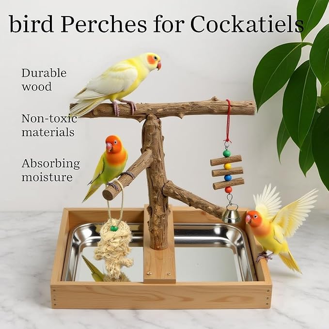 Bird Perch Stand, Natural Wood Bird Perch Stand, Wooden Parrot Perch Stand Fork Toys Hanging Multi-Branch Rope Perch Platform Hammock Swing Toy Chewing Stick Cage Accessories