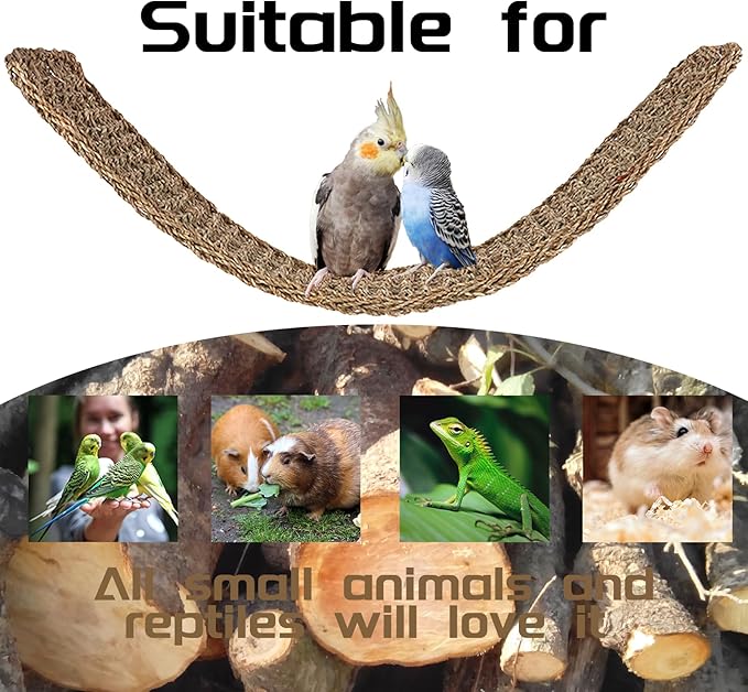 20.5 x 7.9 Inches Bird Seagrass Mat, Natural Grass Woven Bird Net Hammock Mat, Climbing Rope Ladder Chew Toy, Bird Cage Accessories for Parrots, Psittacines, Cockatiels, Hamsters, Lovebirds（2 Pack）