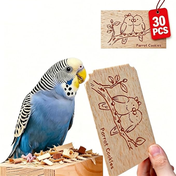 Natural Balsa Wood Bird Chew Toys,30 Pack Soft Wooden Slices with Cute Prints, Safe Shredding & Foraging Toys for Budgies, Parakeets, Lovebirds, Cockatiels and Small Birds