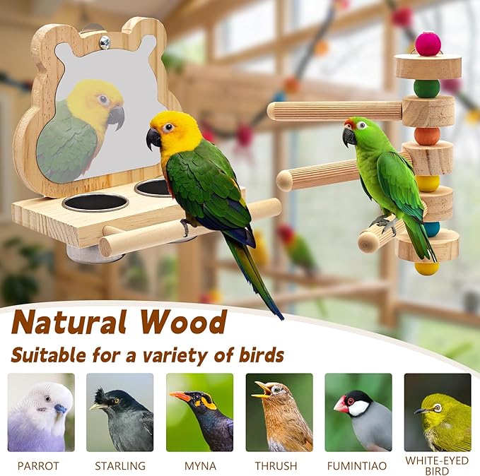 5PCS Bird Perch and Toy Set. Includes a Perch, Feeder, Swing, and Chew Toy. Hangable Natural Solid Wood Birdcage Accessories, Suitable for Small Budgies, Cockatiels, Conures, Lovebirds, Etc.