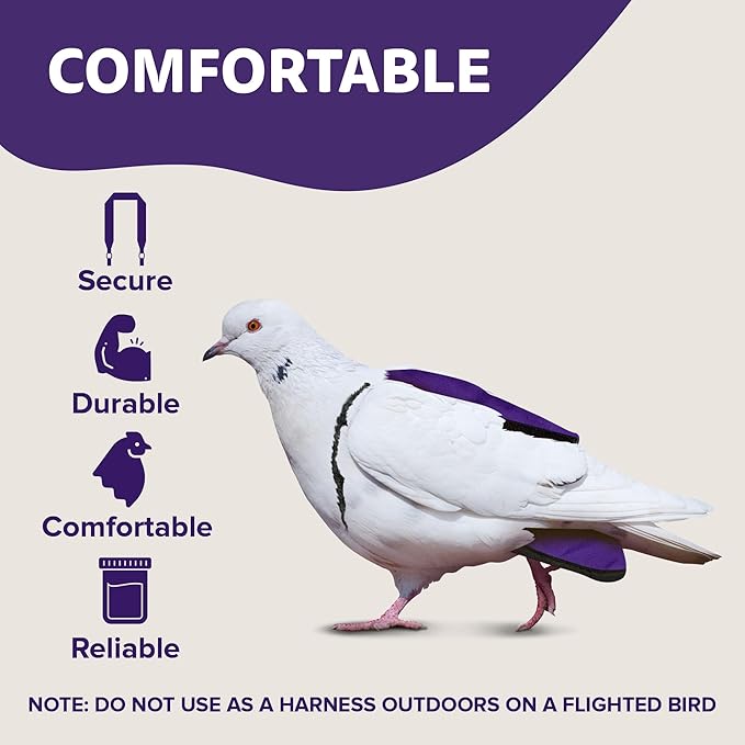 Hen Holster Premium Starter Kit - Bird Diaper, Wrap Around for Larger Pigeons, Small Breed Hens & Roosters - Leak-Proof, Comfortable Bird Harness with Sewn-in Liner & Hook & Loop Closure - XS, Purple