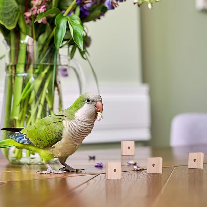 NUOBESTY 100Pcs Parrot Chewing Blocks Natural Wooden Bird Toy with Hanging Holes for Cage Accessories DIY Craft for Macaws African Grey Cockatoos