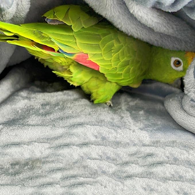 Parrots Anti-Scratch Shoulder Protector for Bird Anklet&Toy Cockatiels Finches Multi-Functional Pet Shoulder Pad Diaper Shoulder Cover for Birds for Poop