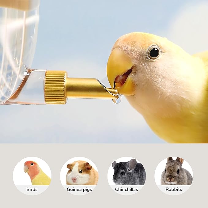 Leak-Proof & Chew-Proof Hanging Water Dispenser No Drip for Birds, Chinchillas, Guinea Pigs, Ferrets, Rats, Rabbits, Bunnies, Parrots, Squirrels, and Other Small Animals - Purple, 12oz