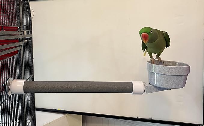 Polly's Mess Less Cups for Your Bird cage-Recommended for All Types of Birds Including Parakeets, Cockatiels, Parrots, Macaws, Cockatoos and More! (Large Long (20" x 1 3/8"))