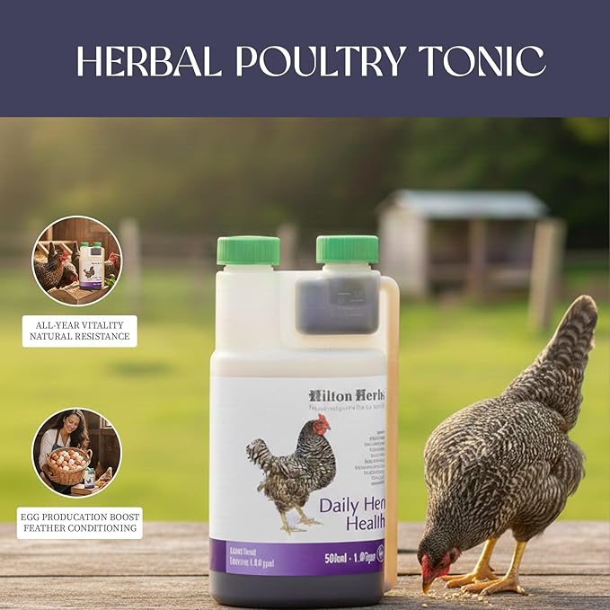 Hilton Herbs Daily Hen Health Herbal Health Supplement for Poultry & Birds, 1.05 pt ( 500ml) Bottle