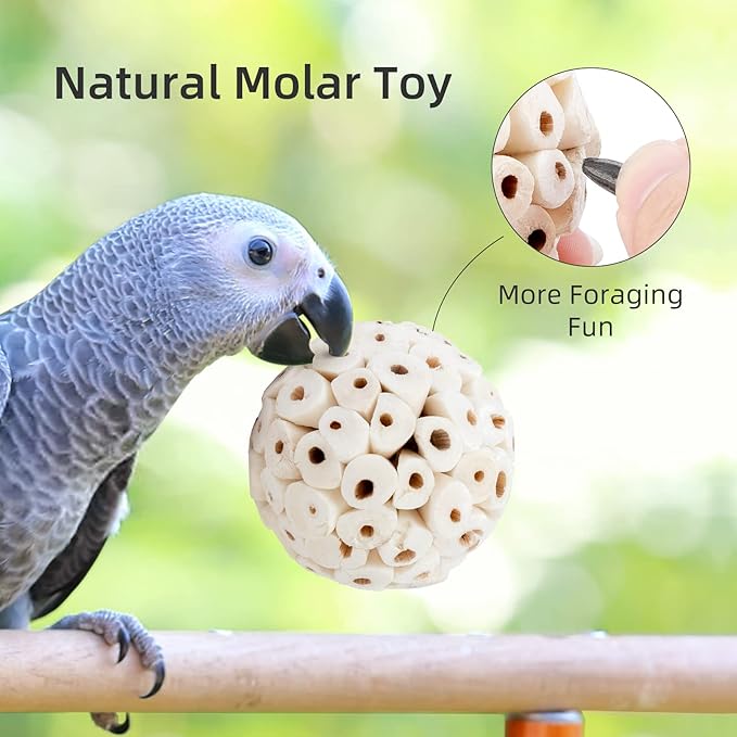 andwe Bird Toy Sola Ball - Natural Soft Chew Shredding & Foraging Toy for Cockatiel Conure Quaker Parrot Budgie Parakeet Rabbit Bunny Guinea Pig Chinchilla (Style 1 (Pack of 6))