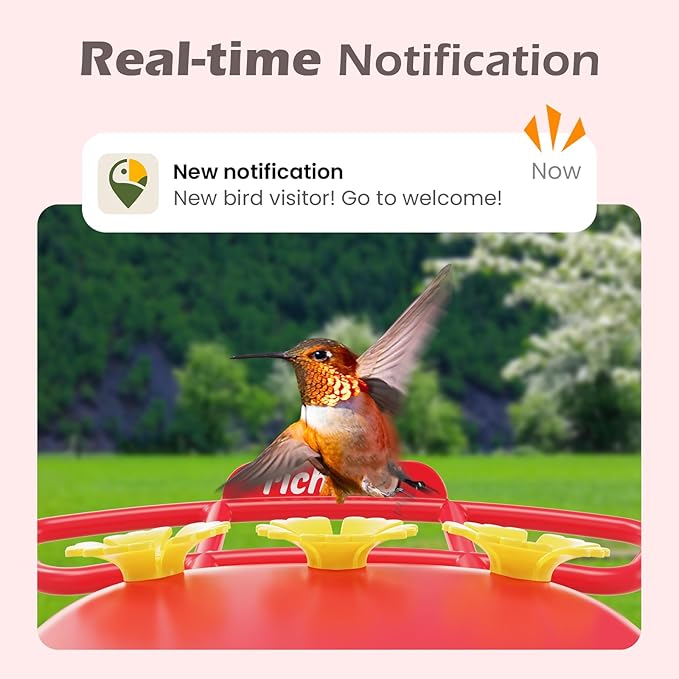 Smart Hummingbird Feeder with Camera Solar Powered, AI Identify, Instant Notification, Leakproof & Ant Moat Bird Feeder with Camera, Hummingbird Feeders for Outdoors, Gift for Bird Lovers (20 oz)