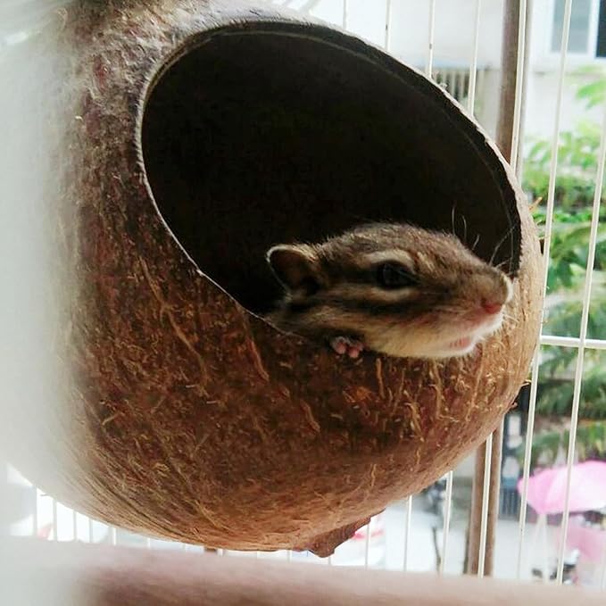 OMEM Bird Coconut House,Hamster House,Coconut Shells can Fixed in Bamboo, Birdcages, Hamster Cages (M)