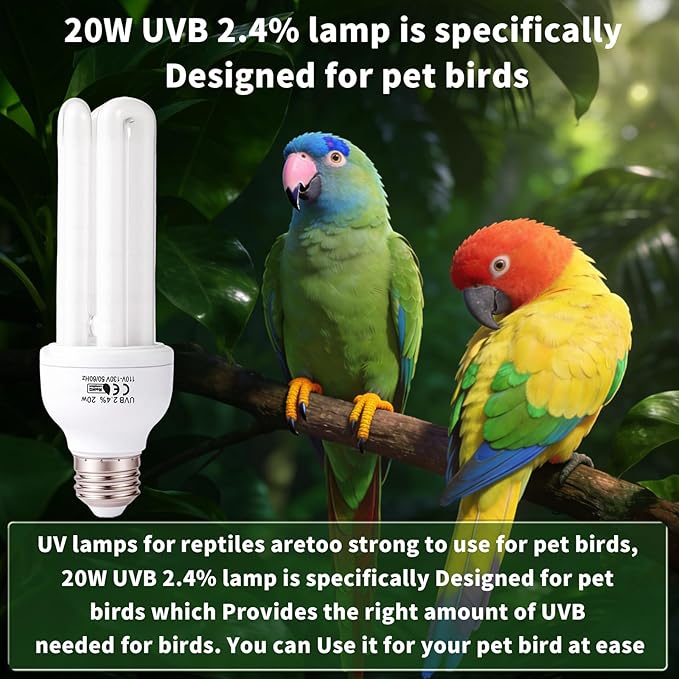 Bird Cage UVB Light Combo Kit, Avian Sun Lamp 2.4% UVB UVA 20W Compact Fluorescent Bulb for All Kinds Captive Birds, 2 Bulbs Included