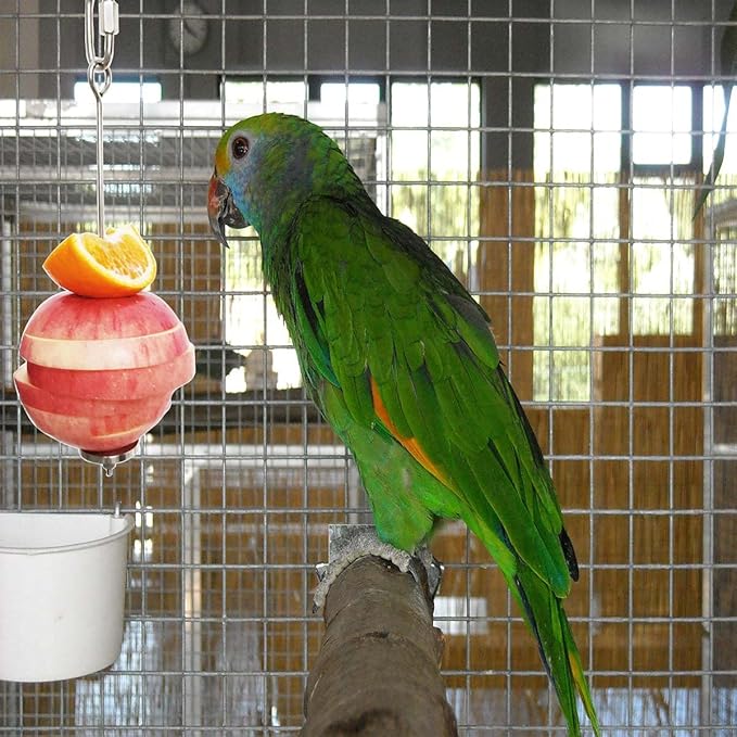 Stainless Steel Parrot Fruit Vegetable Stick Holder - Bird Feeder Toy, Foraging Toy, Treat Skewer