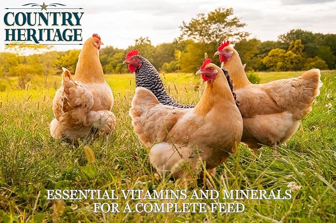 Country Heritage Chicken Layer Crumble 50lbs - 16% Protein Feed for Increased Egg Production & Strong Eggshells, High Protein