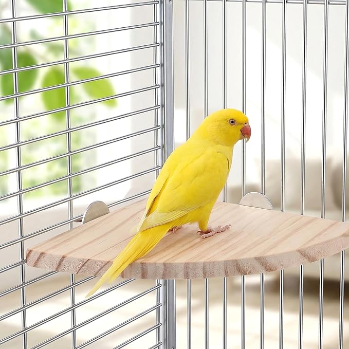 Bird Perch Platform Stand Bird Corner Wood Perch Birds Platform Parrot Stand Flat Fan Shape Playground Cage Accessories Shelf for Parakeet Conure Cockatiel Budgie Gerbil Rat Birds Hamster