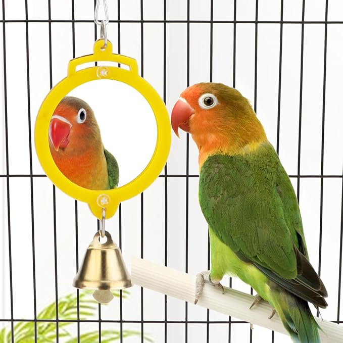 Pet Bird Mirror with Bell Interactive Treat Puzzle Parrot Toy Bird Cage Mirror Small Bird Swing Chew Toys Fun Cage Accessories (Color Random) (Round Shape)
