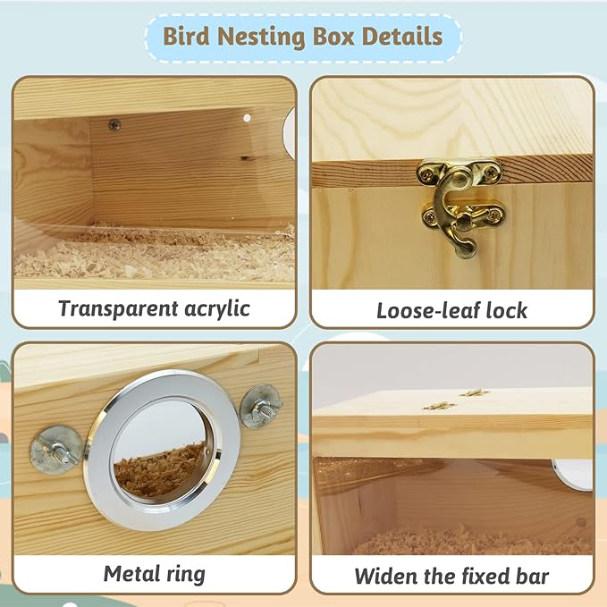 Fhiny Parakeet Nesting Box, Wooden Bird Breeding Box for Cage with Perch Transparent Acrylic Parakeet Nest for Lovebirds Budgies Conures Finches Small and Medium - Sized Birds (Medium)