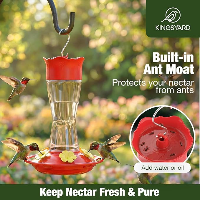 Kingsyard Glass Hummingbird Feeder for Outdoors Hanging, 10 oz Leak-Proof Humming Bird Feeders with Ant Moat & Bee Proof Feeding Ports, Hummingbird Gift for Bird Lovers (Clear)