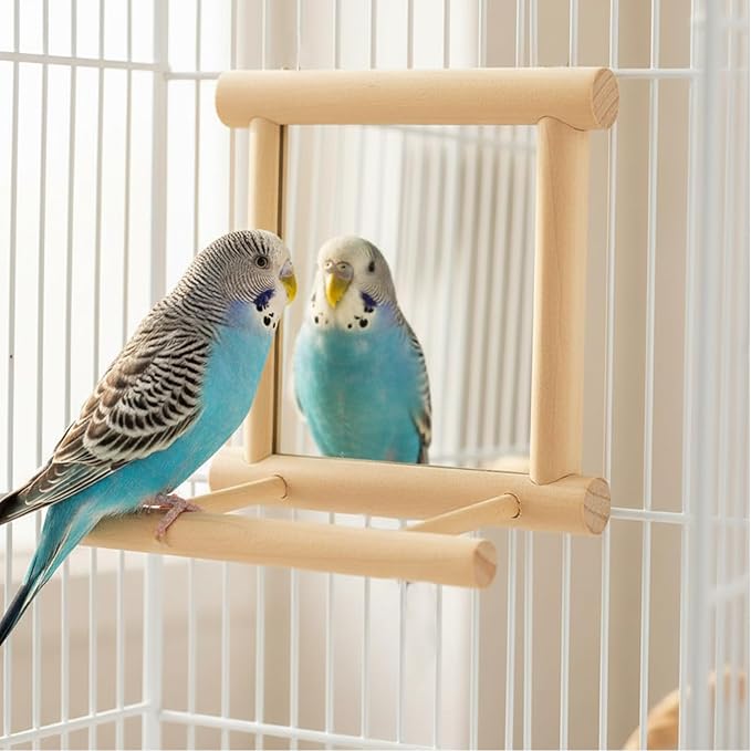 Hypeety Bird Parrot Mirror Toy Swing Hanging with Perch for Parrot Parakeet Budgies Cockatiel Conure Finch Lovebird (D)