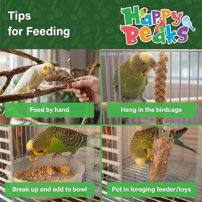 A&E Cage Co Premium French Millet Spray for Birds - 6 Piece, 3oz Pack Natural Spray Millet Treat - Healthy Bird Treat for Parakeets, Budgies, Cockatiels, Finches, Canaries & Small Birds