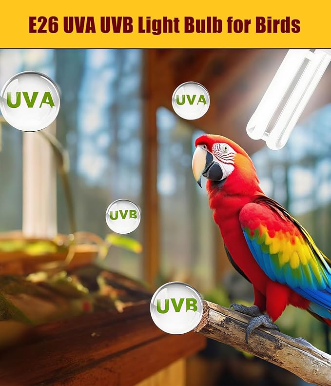 KINGYEENUO E26 UVA UVB Light Bulb for Birds 2.4 UVB 20W Compact Flourescent Lamp for All Kinds Captive Birds, Natural Sunlight Simulation Bird Parrot Light Bulb Compact UVB Lamp Bird Cage UVB Light